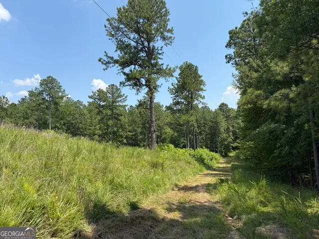 $891,750 | 0 Rum Creek Road, Juliette, GA 31046