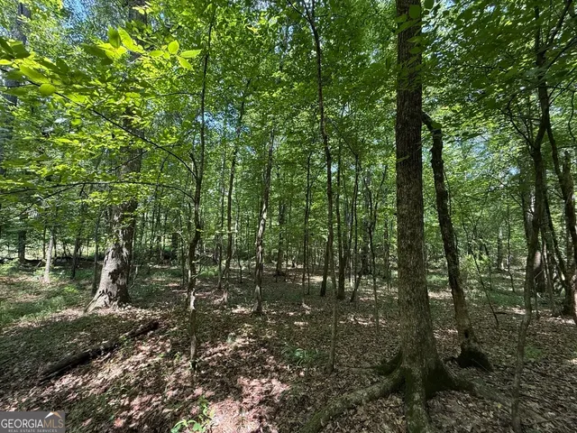 $891,750 | 0 Rum Creek Road, Juliette, GA 31046