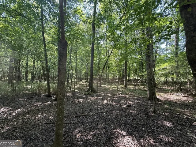 $891,750 | 0 Rum Creek Road, Juliette, GA 31046