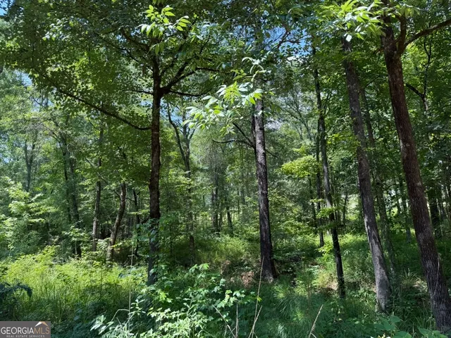 $891,750 | 0 Rum Creek Road, Juliette, GA 31046