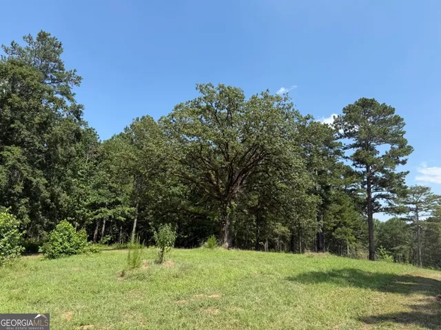 $891,750 | 0 Rum Creek Road, Juliette, GA 31046