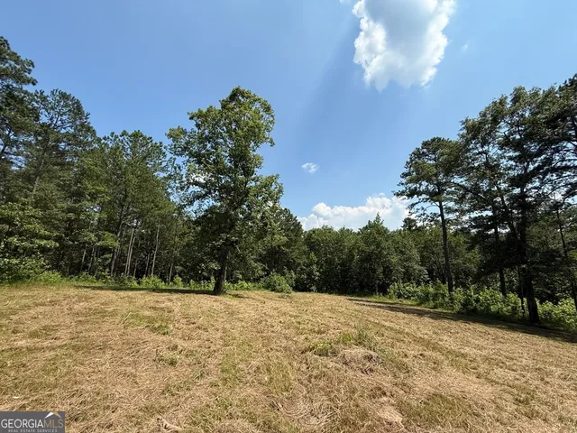 $891,750 | 0 Rum Creek Road, Juliette, GA 31046