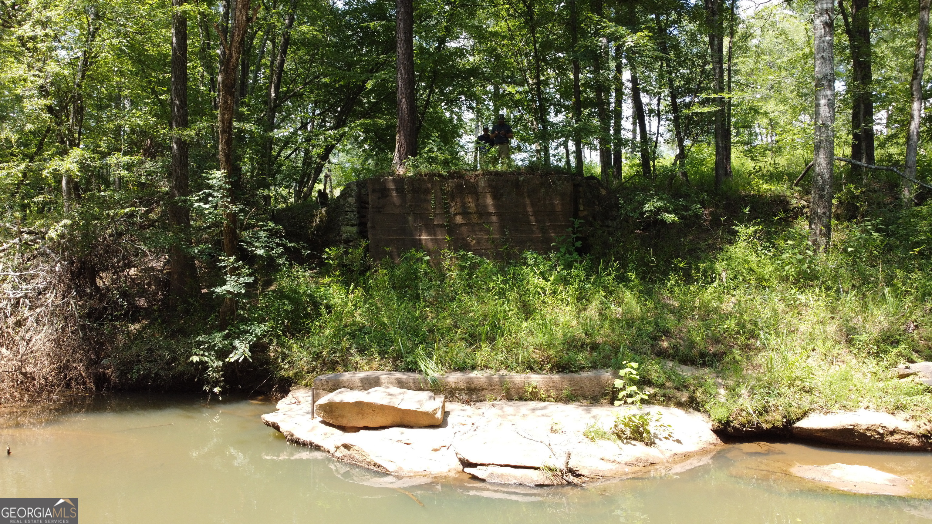 0 Rum Creek Road Juliette, GA 31046 - Photo 21 of 23 a view of a garden