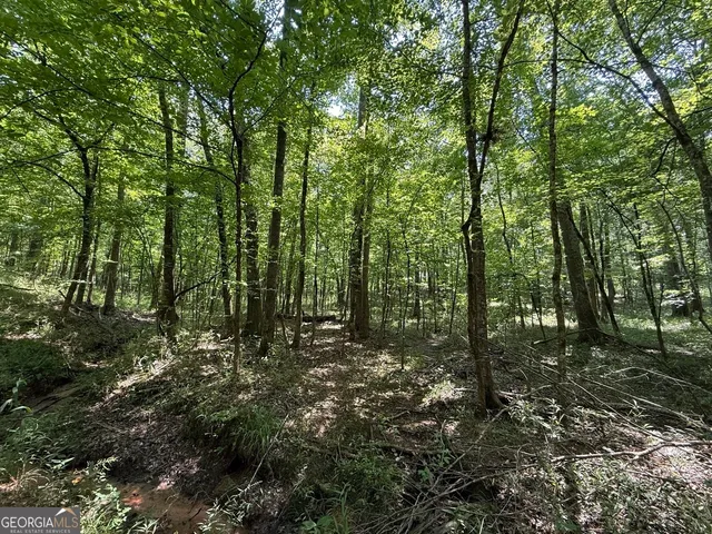 $891,750 | 0 Rum Creek Road, Juliette, GA 31046