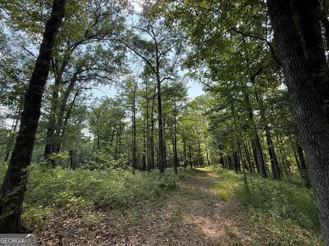 $891,750 | 0 Rum Creek Road, Juliette, GA 31046