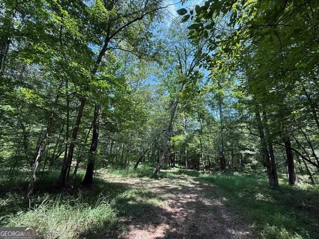 $891,750 | 0 Rum Creek Road, Juliette, GA 31046