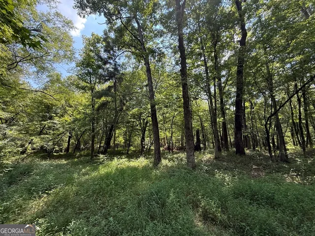 $891,750 | 0 Rum Creek Road, Juliette, GA 31046