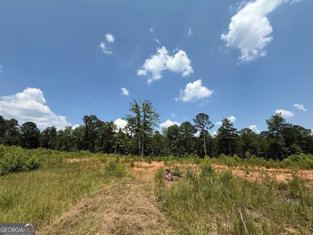 $891,750 | 0 Rum Creek Road, Juliette, GA 31046
