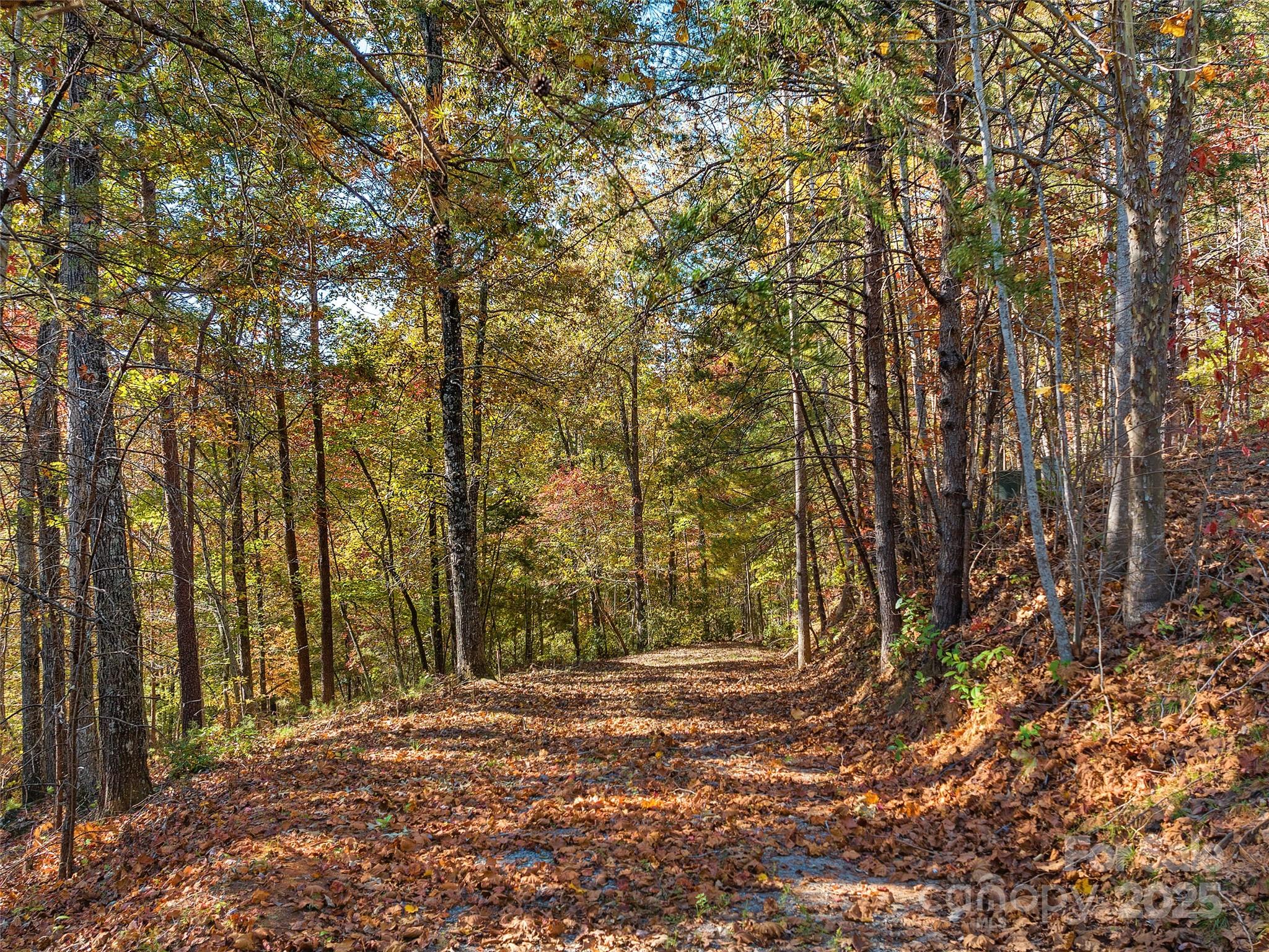 0 South Cove Road, Unit 17 Mill Spring, NC 28756 - Photo 2 of 32 Gallery Image 2