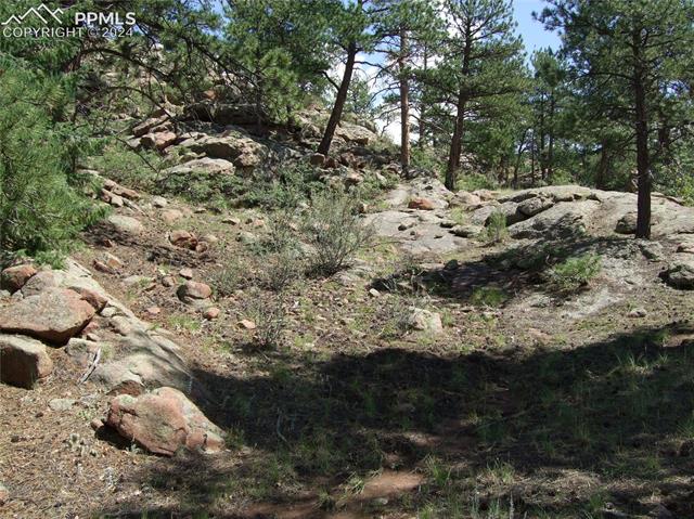 518 Cheyenne Road Florissant, CO 80816 - Photo 7 of 35 View of nature