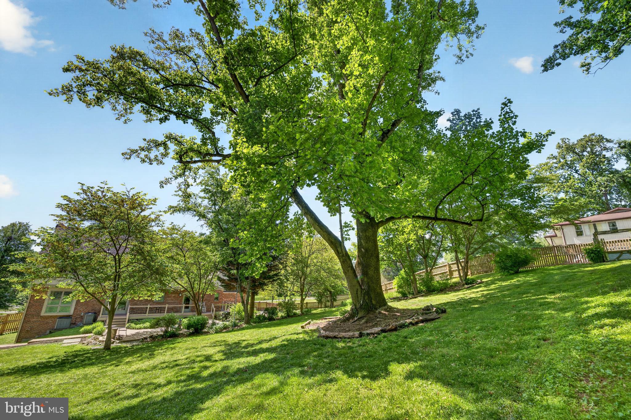 1917 Merrifields Drive Silver Spring, MD 20906 - Photo 54 of 65