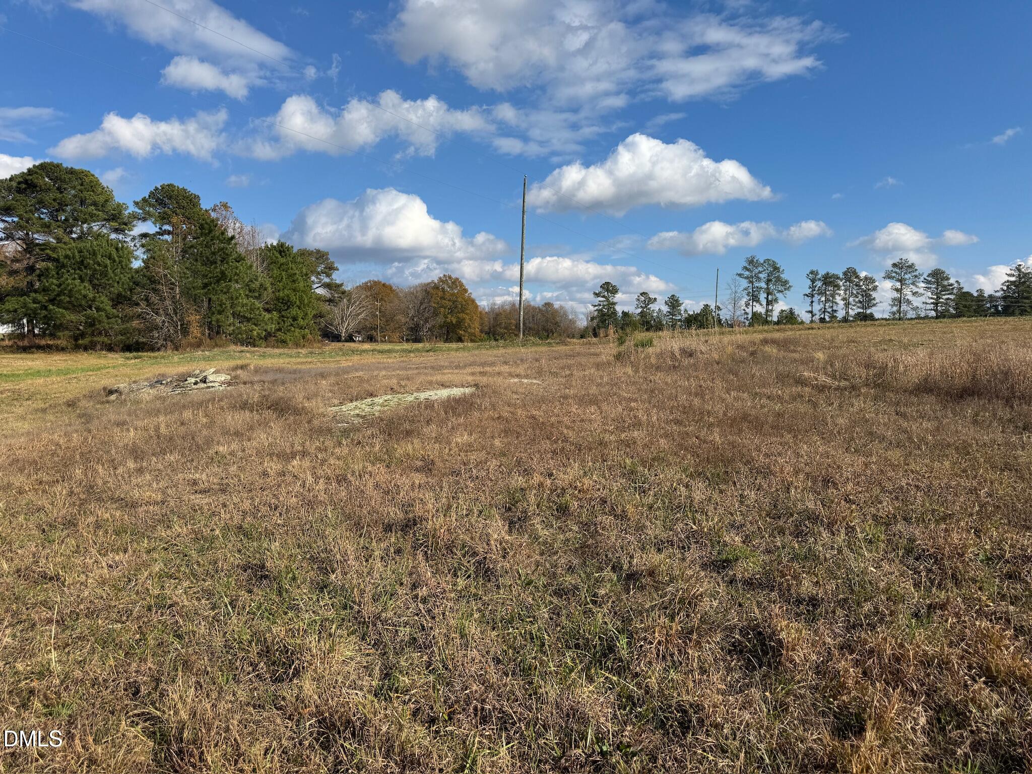 0 Martin Road Zebulon, NC 27597 - Photo 16 of 41 IMG_8736