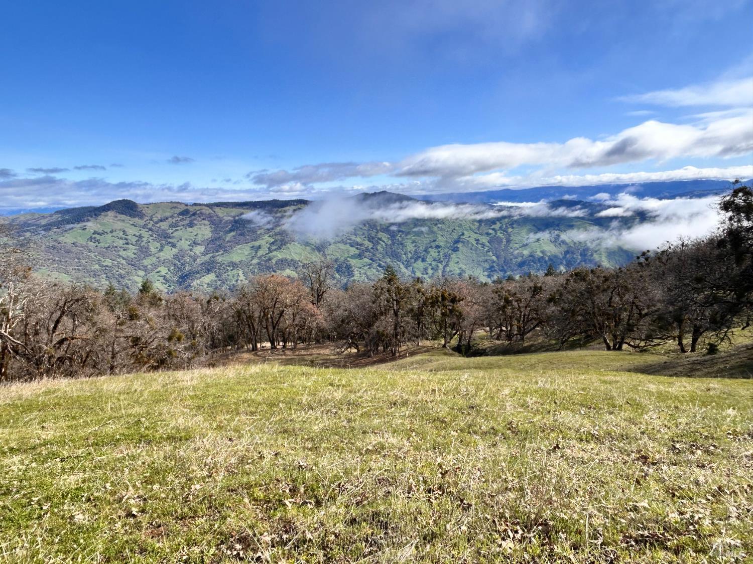 74000 Island Mountain Road Garberville, CA 95542 - Photo 26 of 36