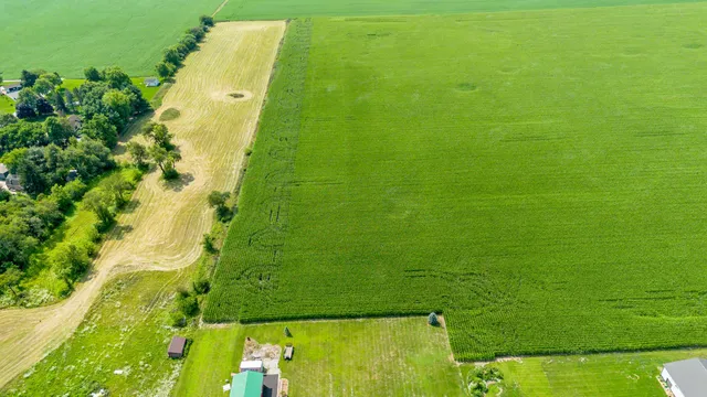 a view of a big yard with large trees