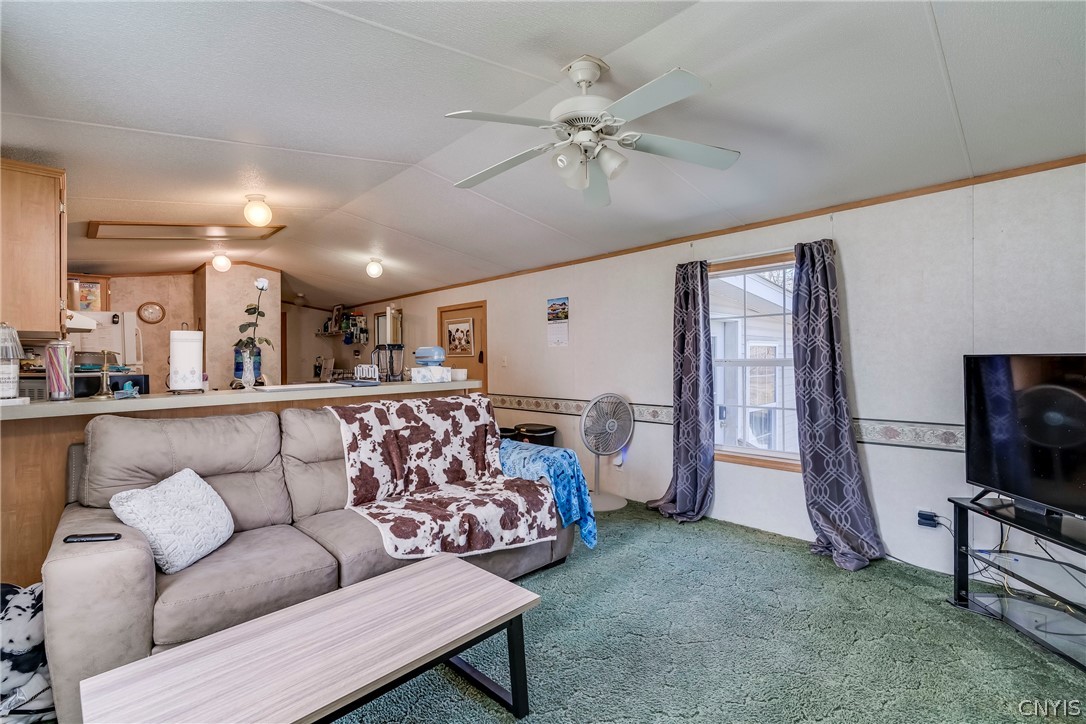 14153 County Route 63 Adams, NY 13605 - Photo 35 of 50