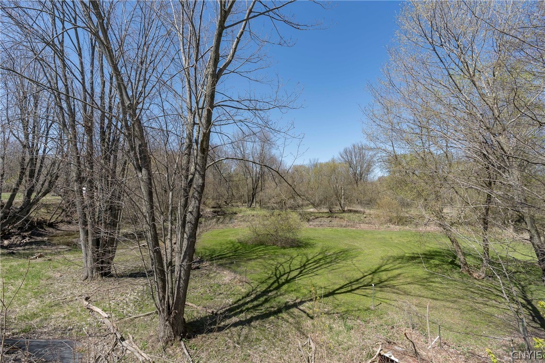 14153 County Route 63 Adams, NY 13605 - Photo 8 of 50
