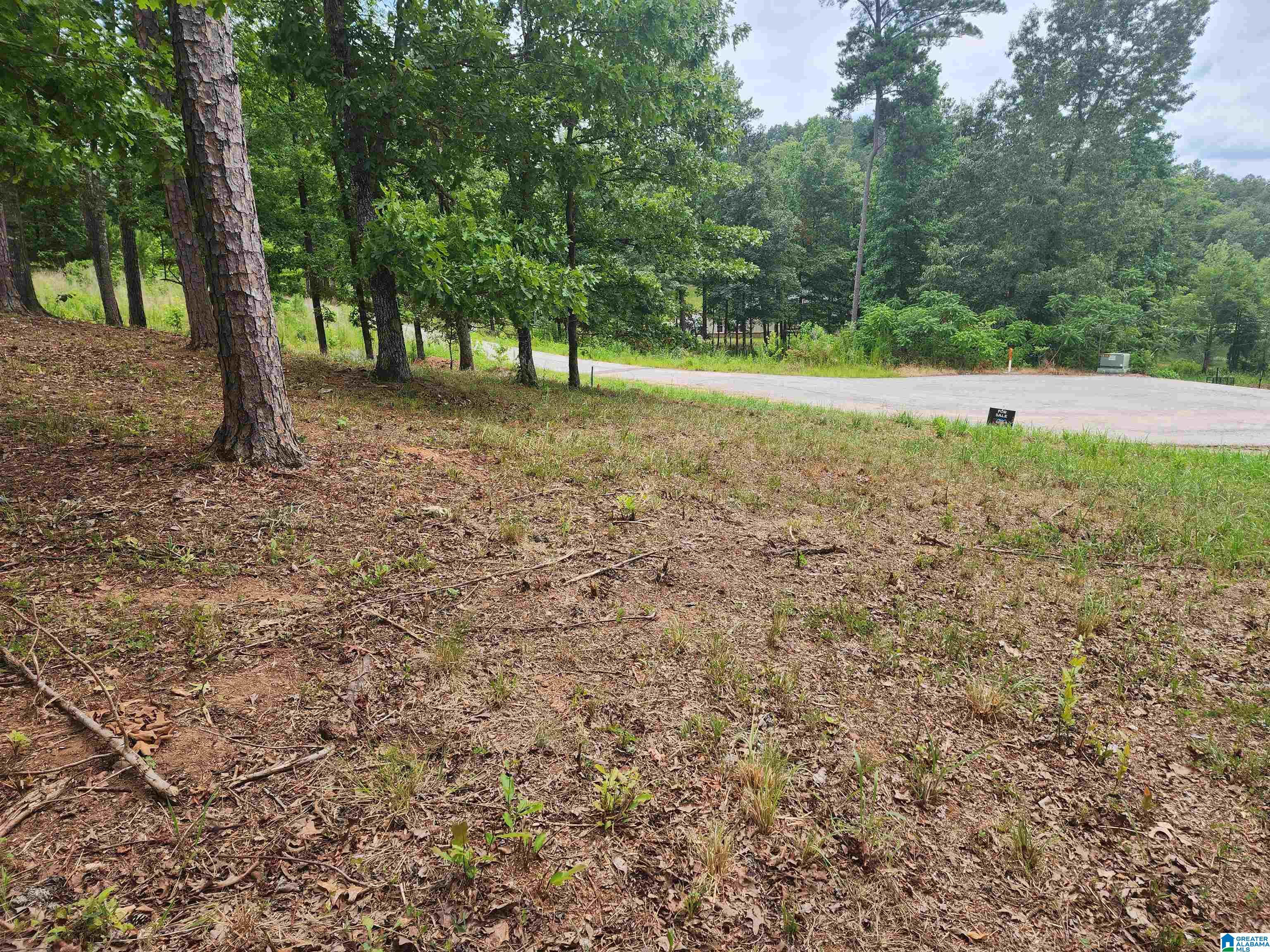 Lot 8 Eagle Mountain Road, Unit 8 Alexander City, AL 35010 - Photo 15 of 27