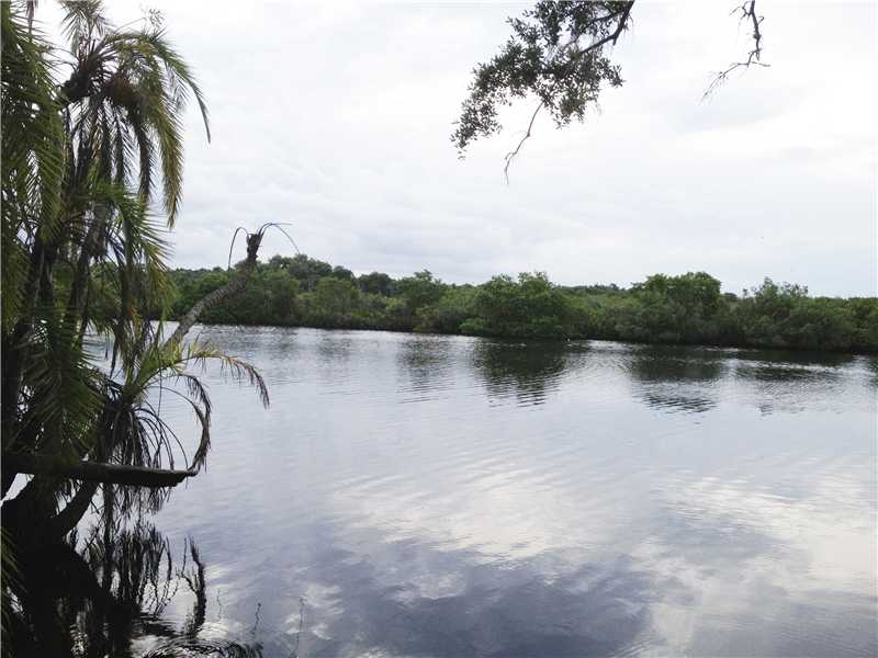 12475 Roseland Road Sebastian, FL 32958 - Photo 4 of 4 Gallery Image 4