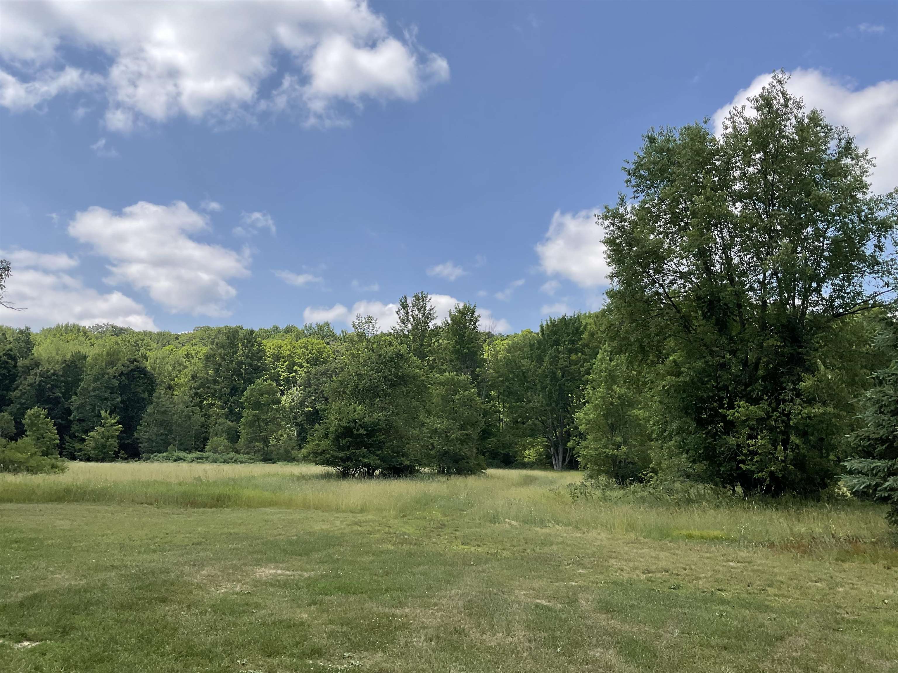 10694 Freeman Road Mesick, MI 49668 - Photo 37 of 39