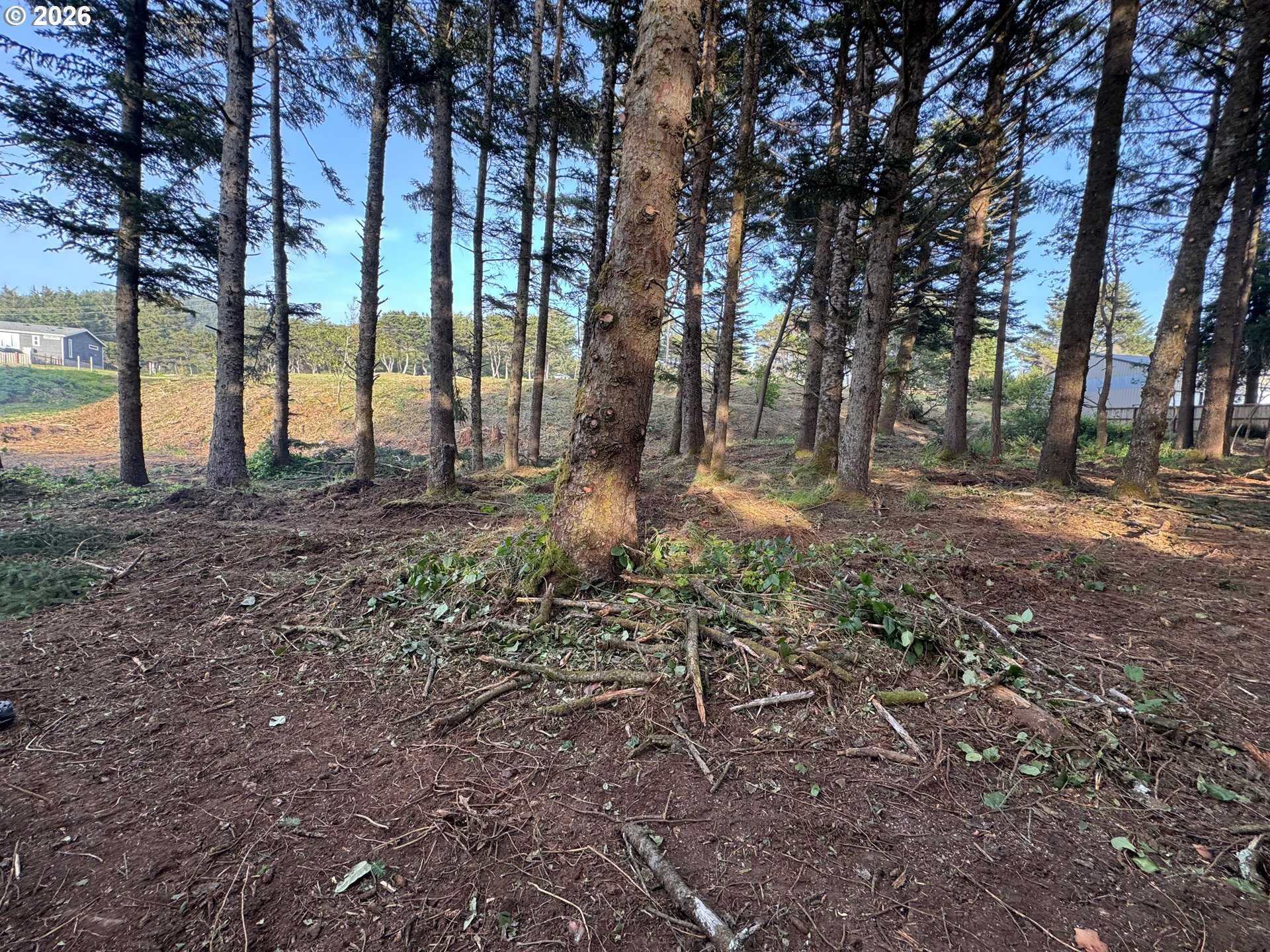 Ophir Road Gold Beach, OR 97444 - Photo 13 of 14 a backyard of a house with lots of green space