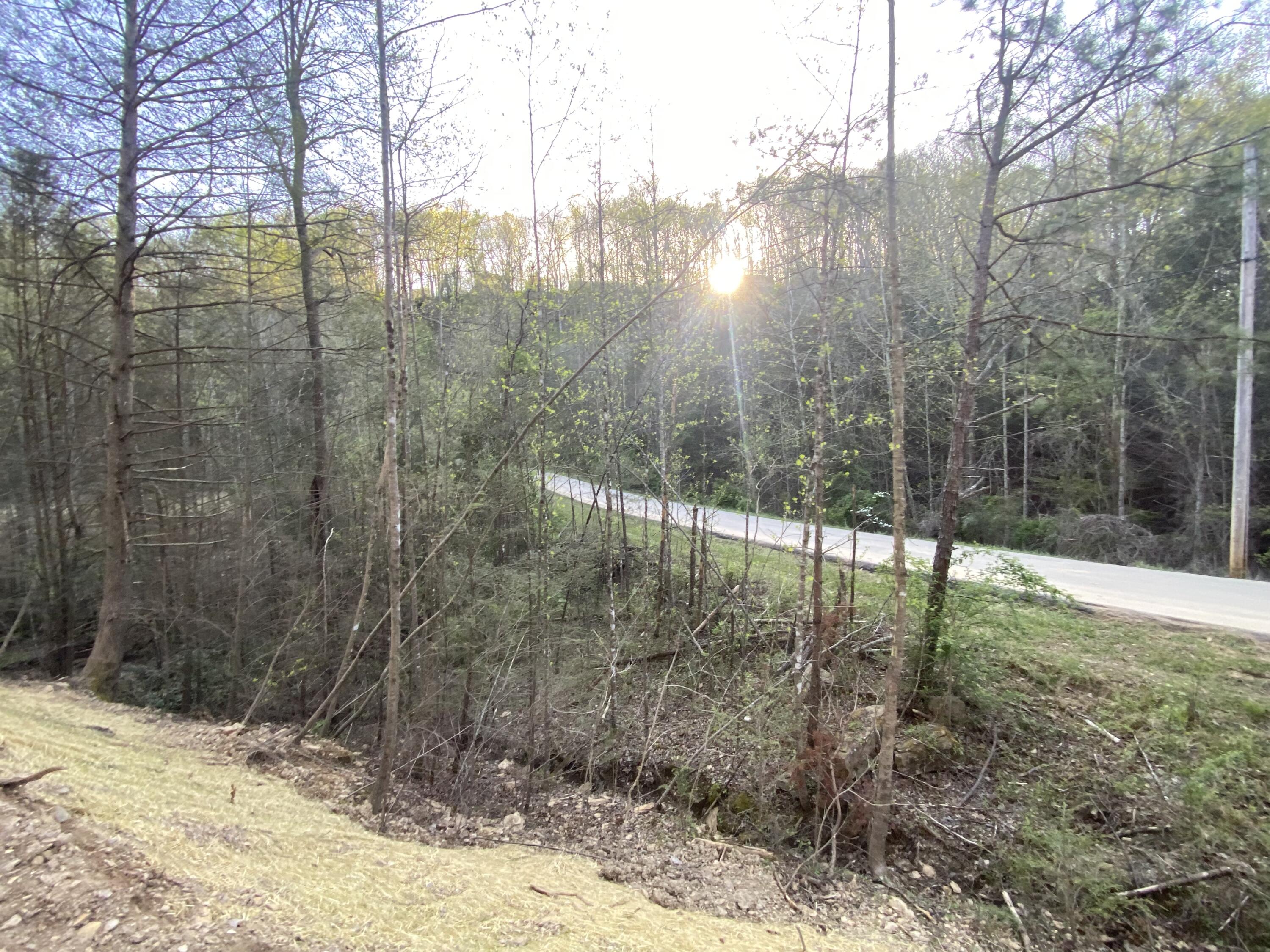 411 Cliffs Edge Road East Bernstadt, KY 40729 - Photo 15 of 23 IMG_4931