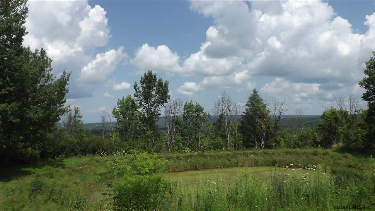 2365 Gage Road Delanson, NY 12053 - Photo 8 of 22 Photo 8
