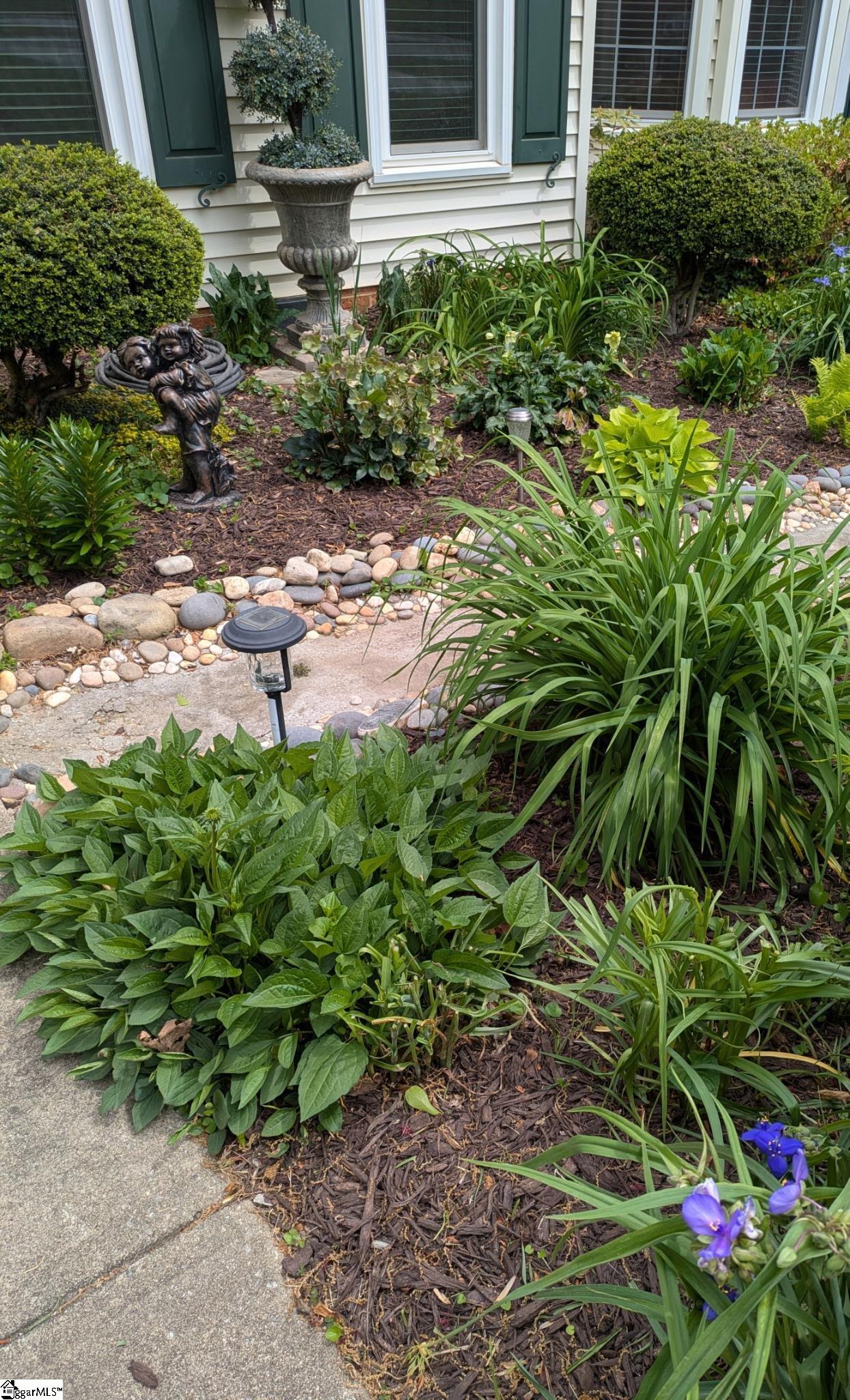 11 Spring View Lane Taylors, SC 29687 - Photo 5 of 30