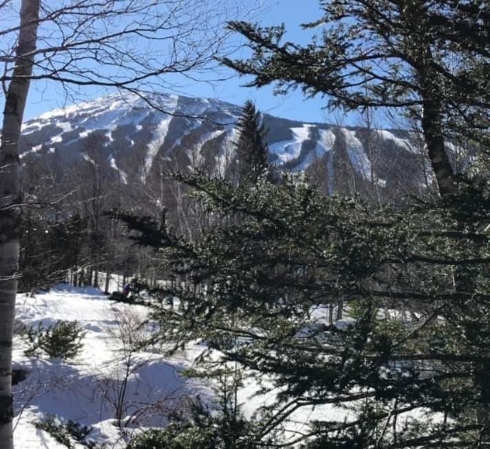 362 Sugar Tree, Unit 362 Carrabassett Valley, ME 04947 - Photo 23 of 24 13