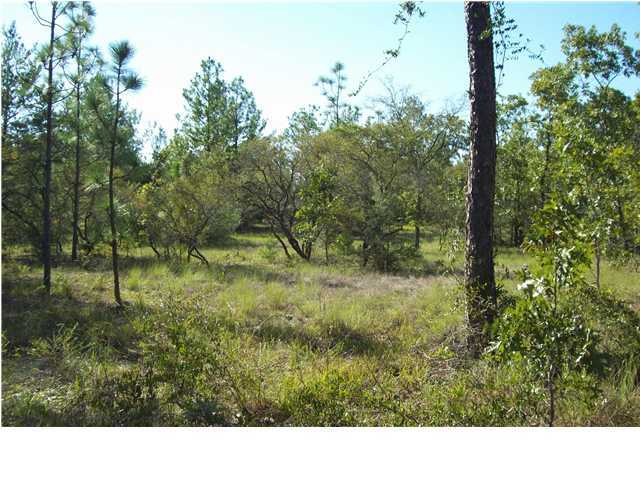 2572 Richardson Road Crestview, FL 32539 - Photo 20 of 24 a open area with trees in the background