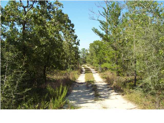 2572 Richardson Road Crestview, FL 32539 - Photo 24 of 24 a view of a yard
