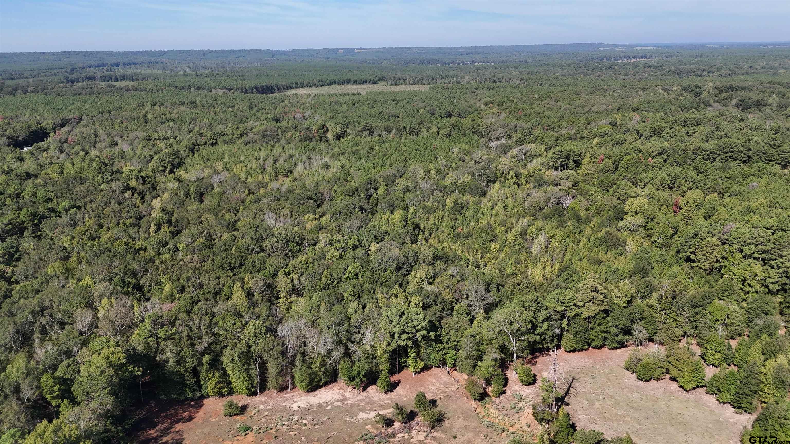 0 County Road 1206 Rusk, TX 75785 - Photo 8 of 27 Gallery Image 8