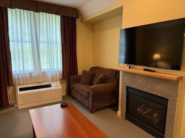 2940 Highway 103, Unit 158 Cavendish, VT 05153 - Photo 7 of 27