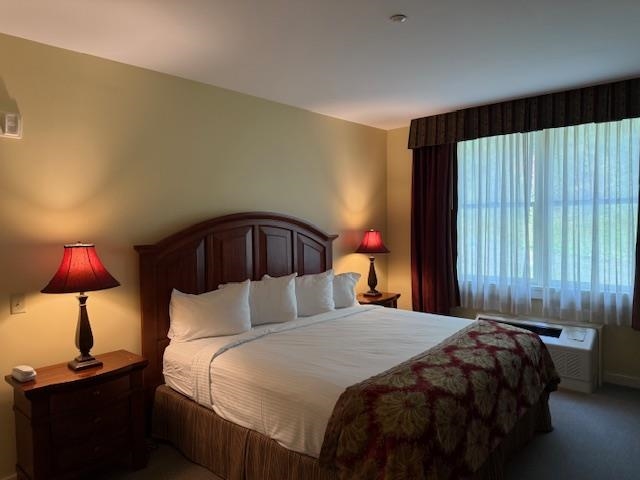 2940 Highway 103, Unit 158 Cavendish, VT 05153 - Photo 9 of 27