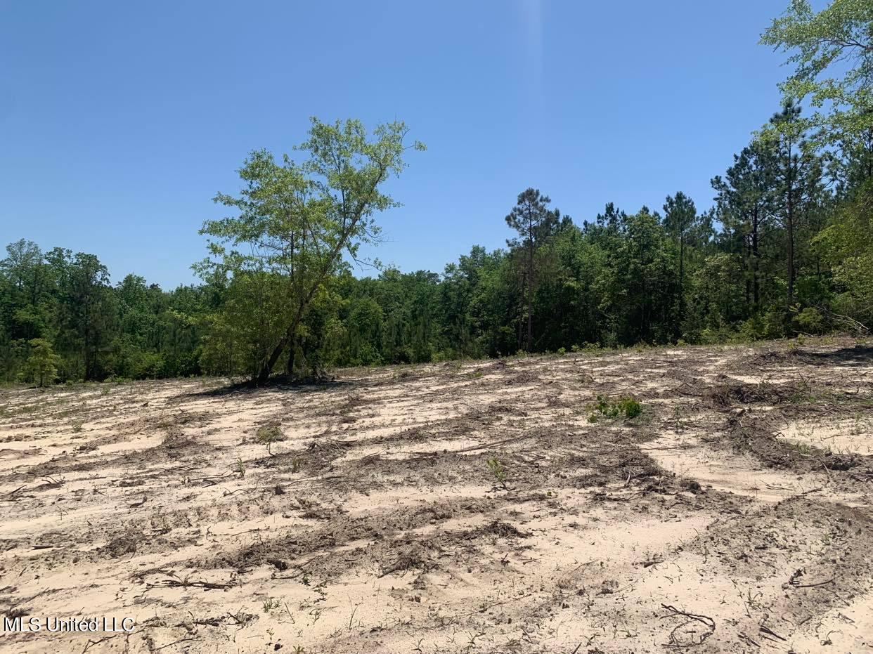 103 A Ball Park Road Perkinston, MS 39573 - Photo 1 of 6 BallParkRd1