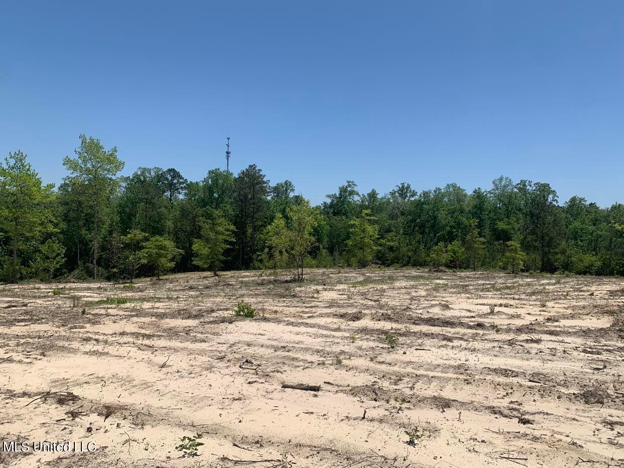 103 A Ball Park Road Perkinston, MS 39573 - Photo 2 of 6 BallParkRd2