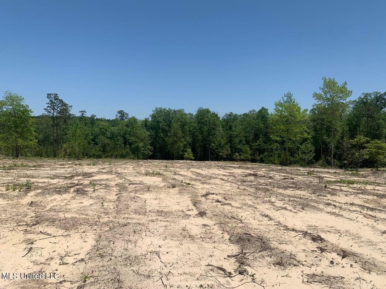 103 A Ball Park Road Perkinston, MS 39573 - Photo 3 of 6 BallParkRd3