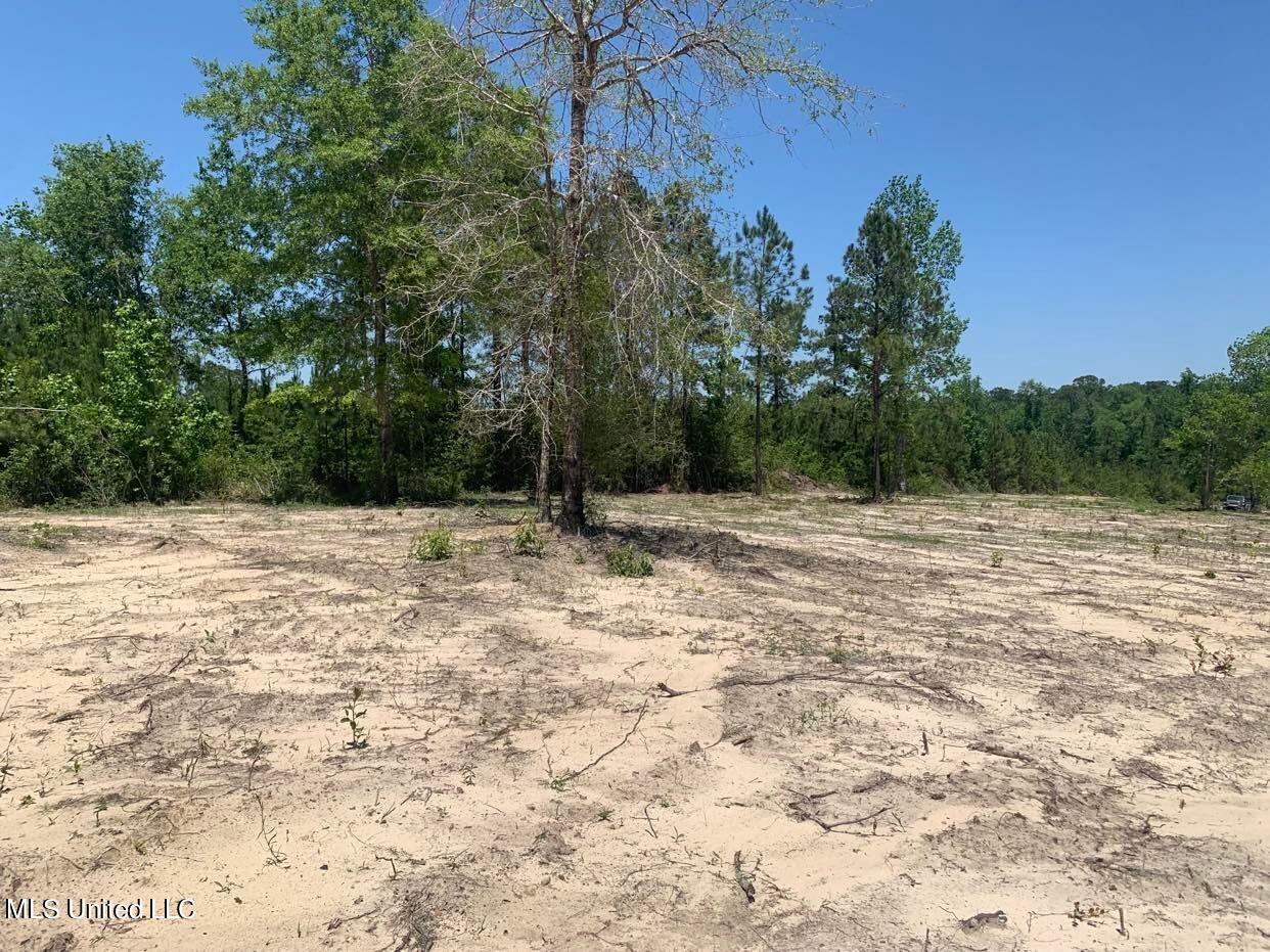 103 A Ball Park Road Perkinston, MS 39573 - Photo 4 of 6 BallParkRd4