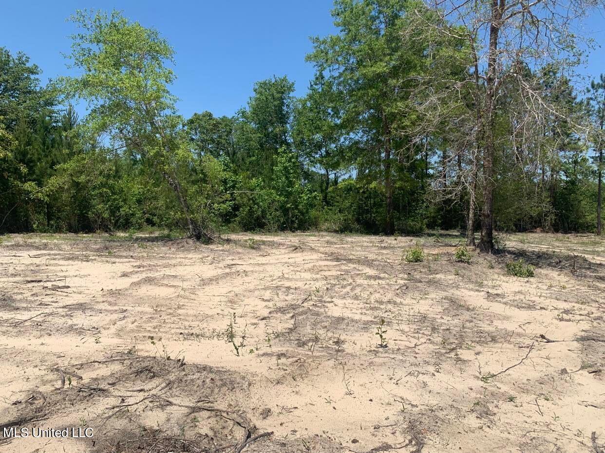 103 A Ball Park Road Perkinston, MS 39573 - Photo 5 of 6 BallParkRd5