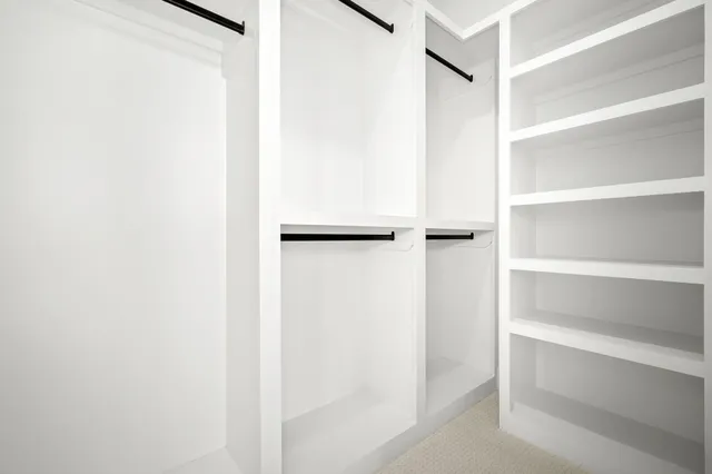 a view of a park with plants and trees