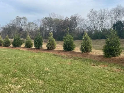 a view of kitchen with granite countertop a sink cabinets and stainless steel appliances