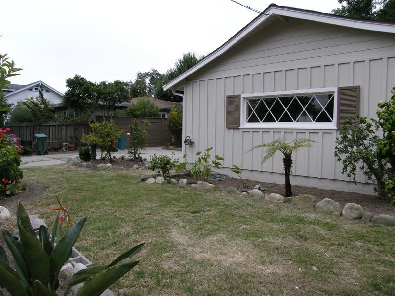 P5260225 (Medium)