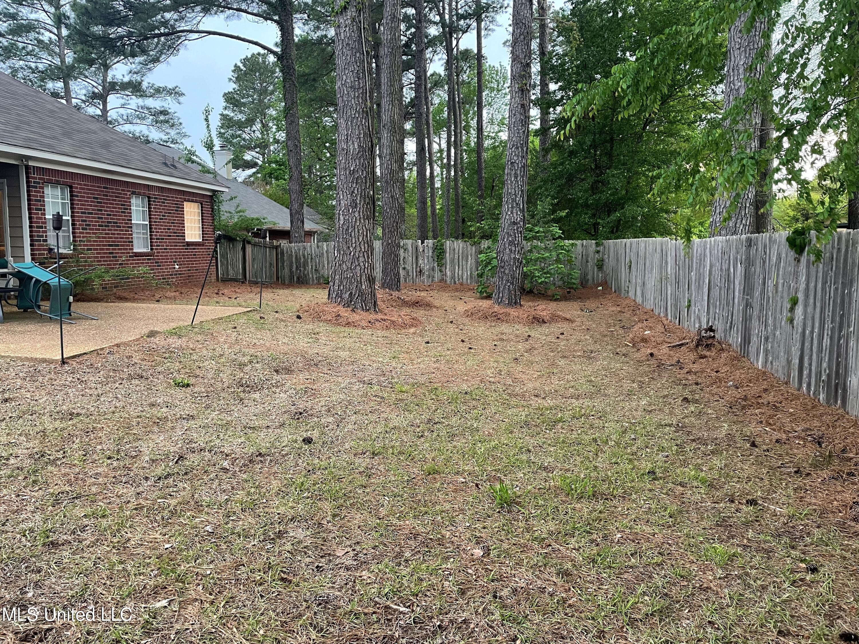 313 Pinewood Lane Ridgeland, MS 39157 - Photo 11 of 11 yard