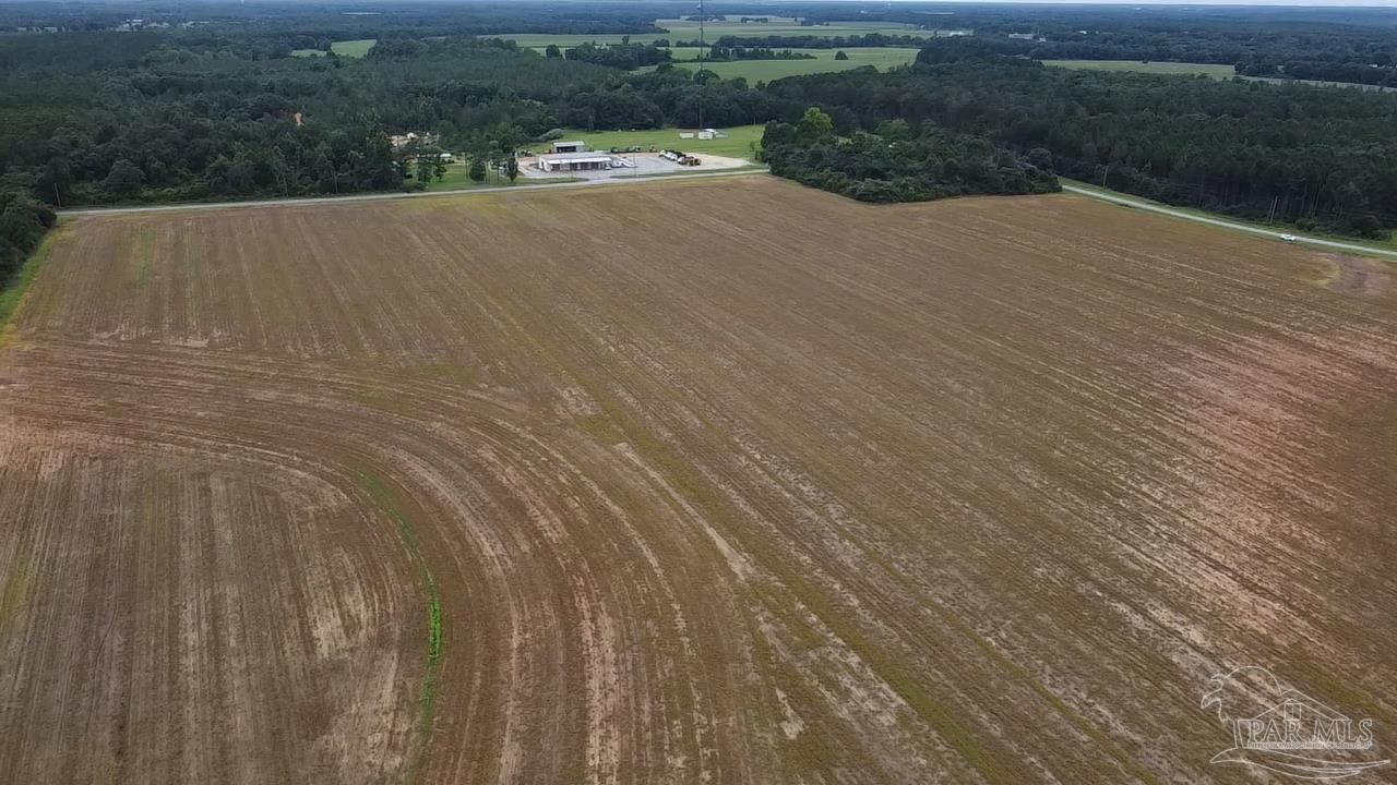 7600 Bratt Road Century, FL 32535 - Photo 39 of 41