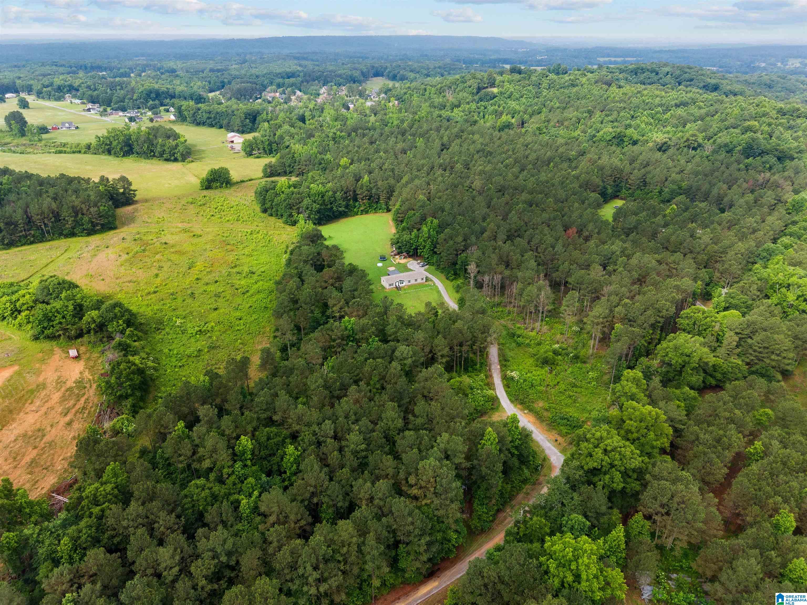 420 Reid Road Cullman, AL 35057 - Photo 36 of 40