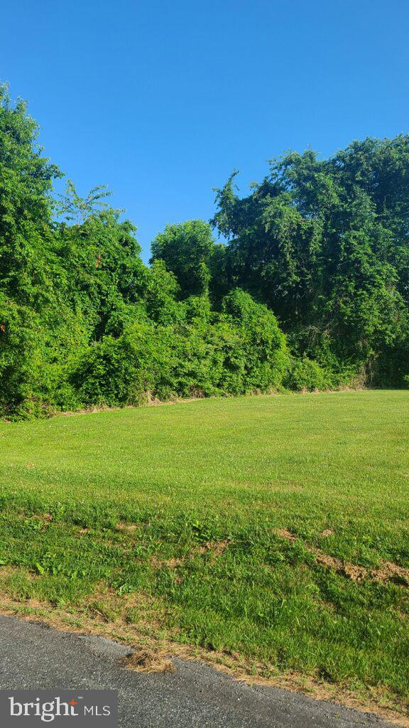 Peach Orchard Rd Street Street, MD 21154 - Photo 2 of 3