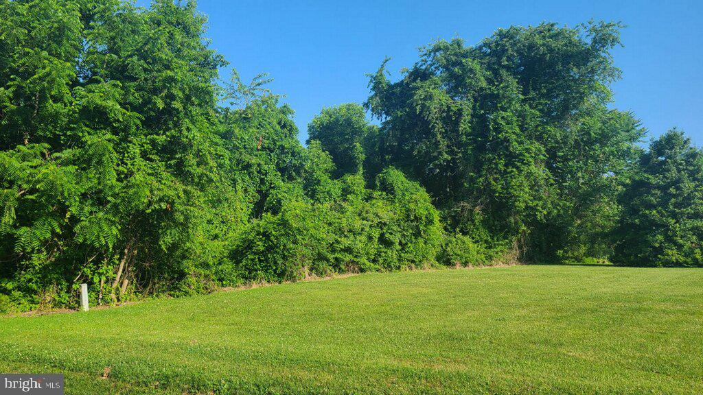 Peach Orchard Rd Street Street, MD 21154 - Photo 3 of 3