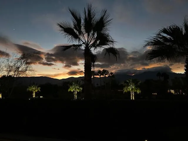 a view of a backyard of a house