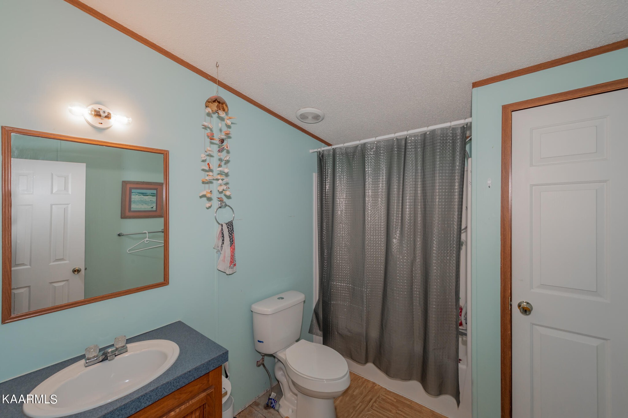 2382 River Road Kingston, TN 37763 - Photo 35 of 60 a bathroom with a toilet a sink and shower curtain
