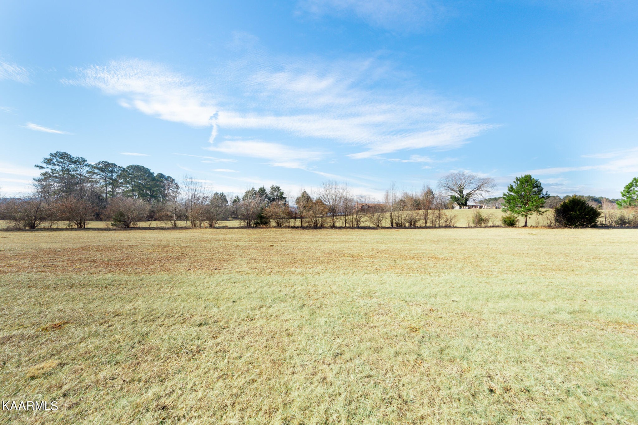 2382 River Road Kingston, TN 37763 - Photo 9 of 60