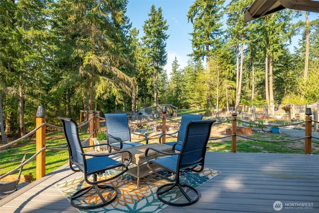 a view of a park with large trees